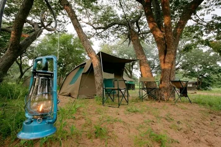 Safari Camping