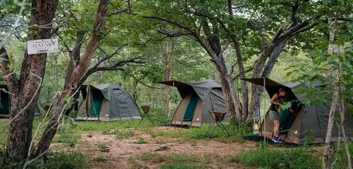 Camp Life